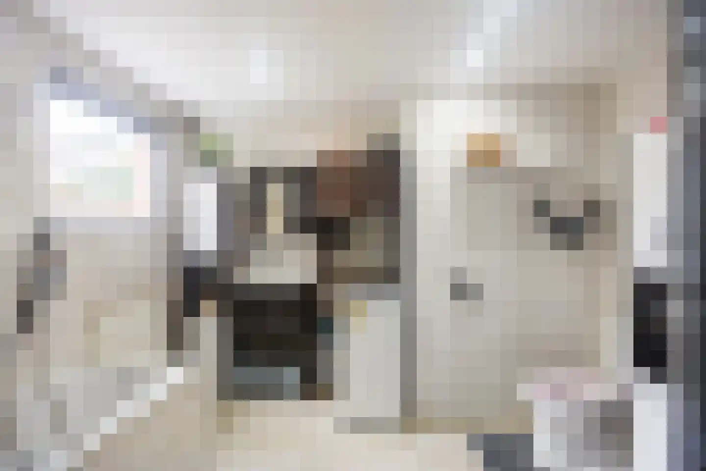 H. Koningstraat 13 Wehe-den Hoorn thumbnail 20
