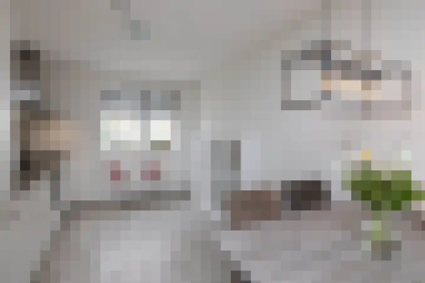 H. Leefsmastraat 142 Hengelo thumbnail 8