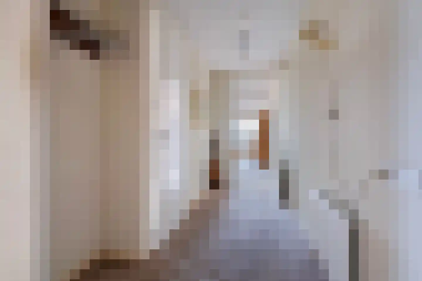 H. Leefsmastraat 45 Hengelo thumbnail 7