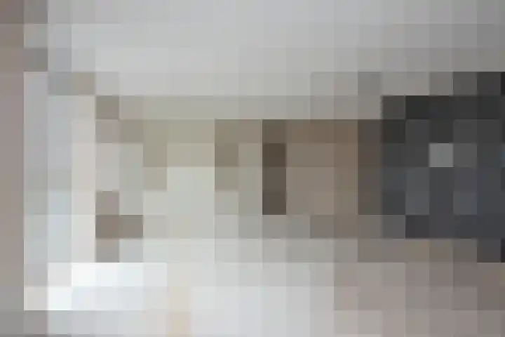 H. Leefsmastraat 47 Hengelo thumbnail 19