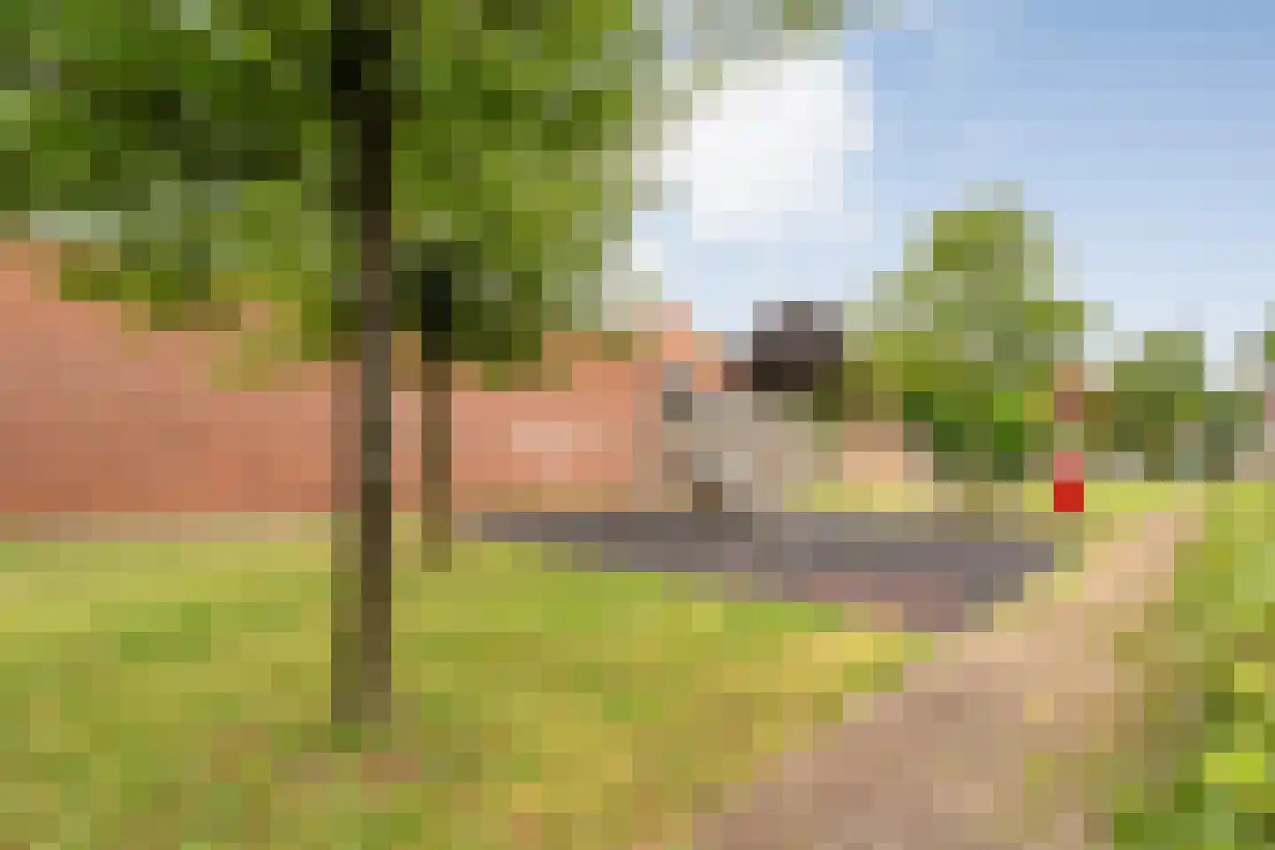H. Leefsmastraat 97 Hengelo thumbnail 35