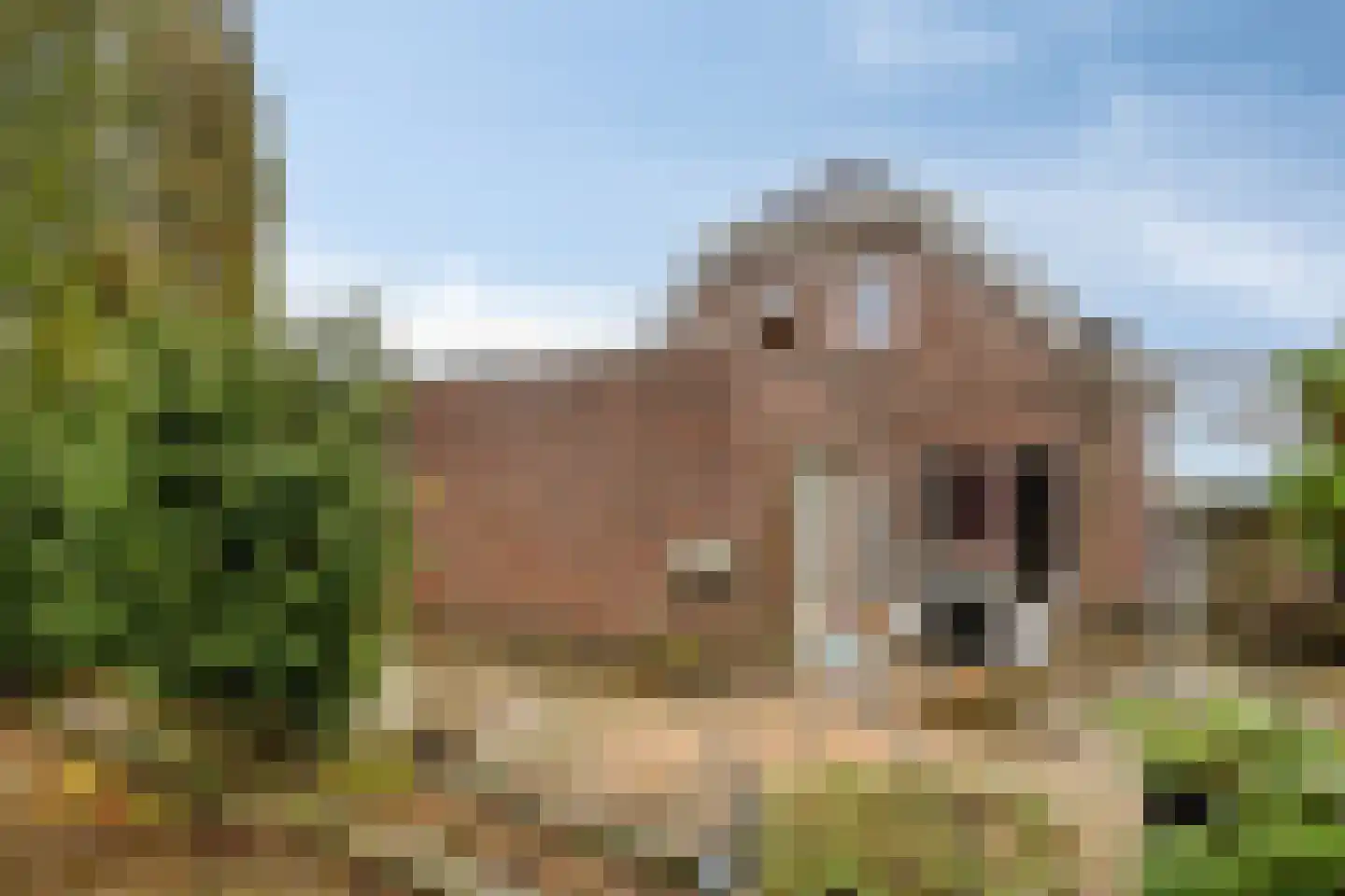 H.M. Brouwerstraat 6 Winschoten thumbnail 10