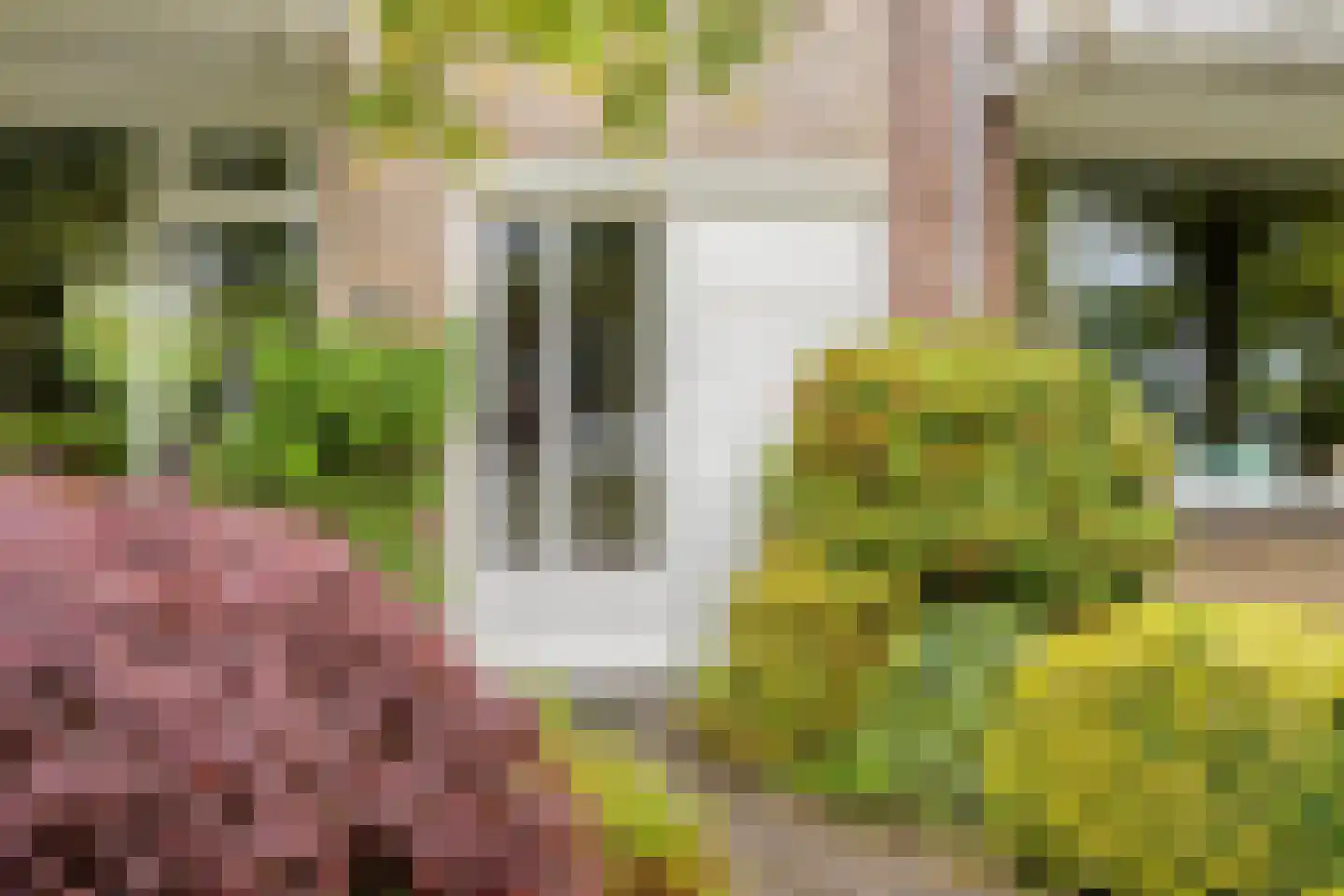 H.M. Corwinstraat 20 Oldenzaal thumbnail 42