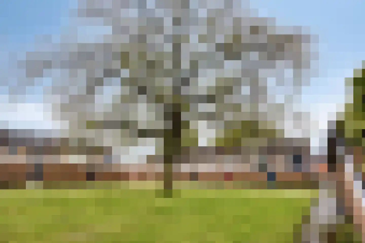 H.M. Corwinstraat 20 Oldenzaal thumbnail 46