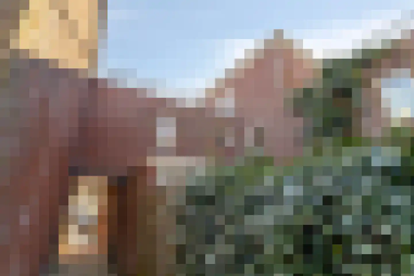 H.M. Kraaijvangerstraat 41 Amsterdam thumbnail 39
