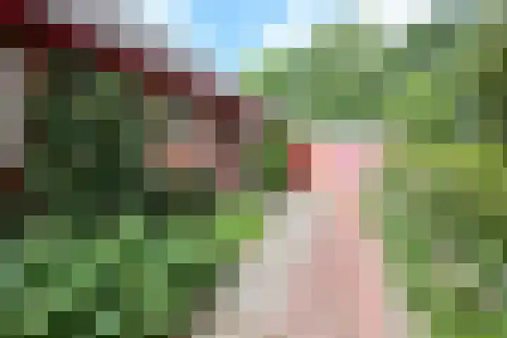 H.M. van Randwijklaan 15 Middenbeemster thumbnail 10