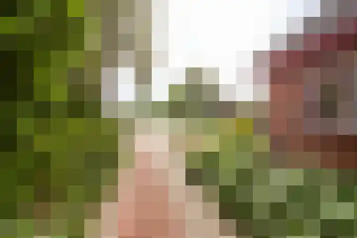 H.M. van Randwijklaan 15 Middenbeemster thumbnail 11