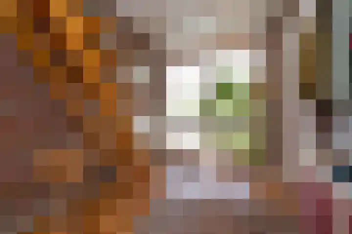 H.M. van Randwijklaan 15 Middenbeemster thumbnail 14