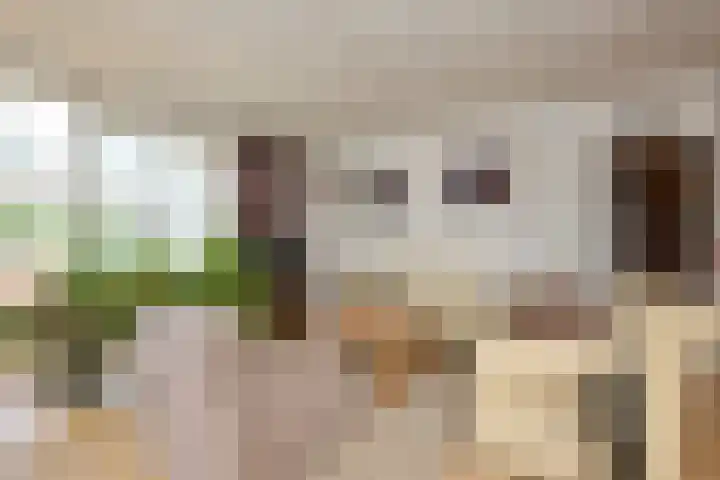H.M. van Randwijklaan 15 Middenbeemster thumbnail 18