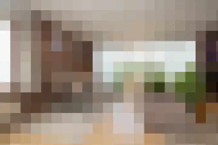 H.M. van Randwijklaan 15 Middenbeemster thumbnail 21