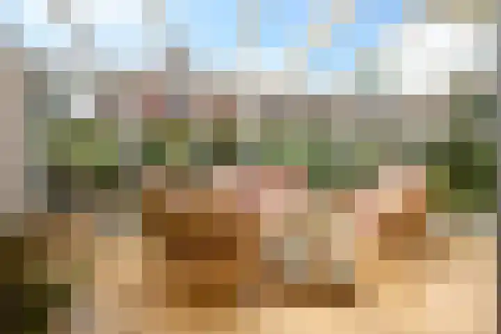 H.M. van Randwijklaan 15 Middenbeemster thumbnail 23