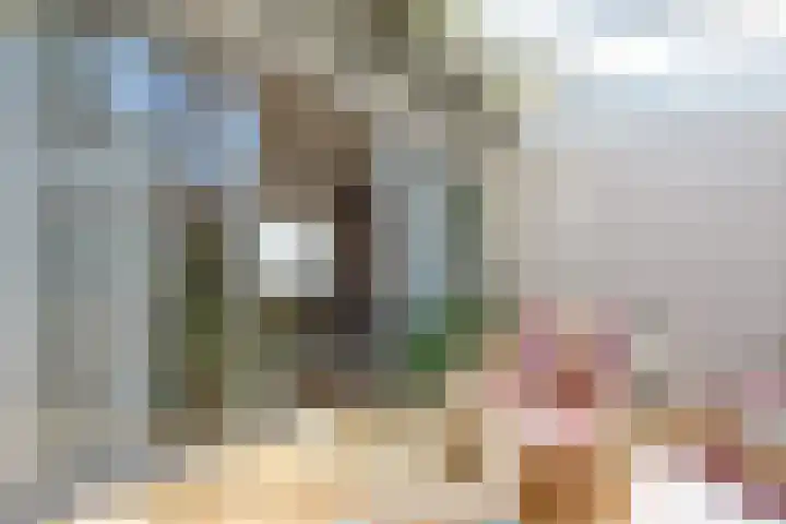 H.M. van Randwijklaan 15 Middenbeemster thumbnail 25