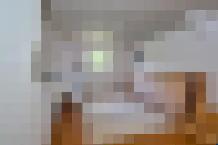 H.M. van Randwijklaan 15 Middenbeemster thumbnail 47