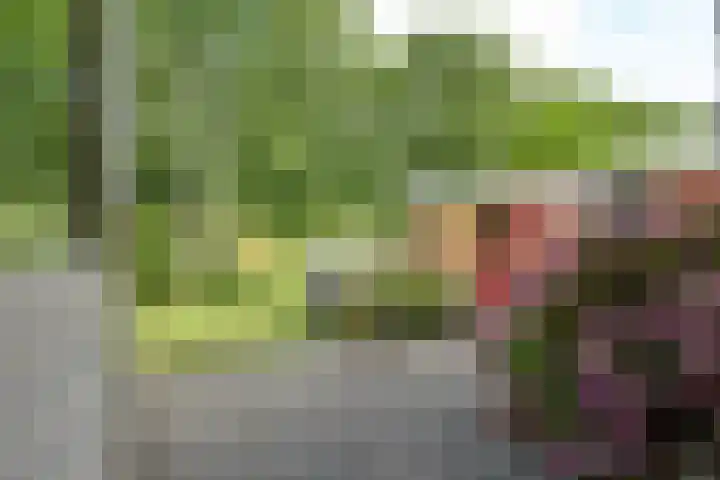 H.M. van Randwijklaan 15 Middenbeemster thumbnail 52