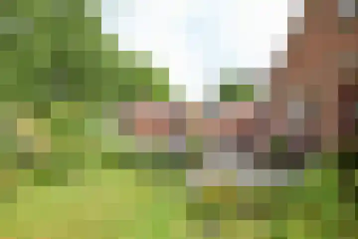 H.M. van Randwijklaan 15 Middenbeemster thumbnail 61