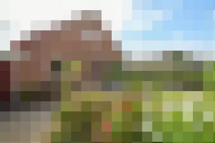 H.M. van Randwijklaan 15 Middenbeemster thumbnail 62