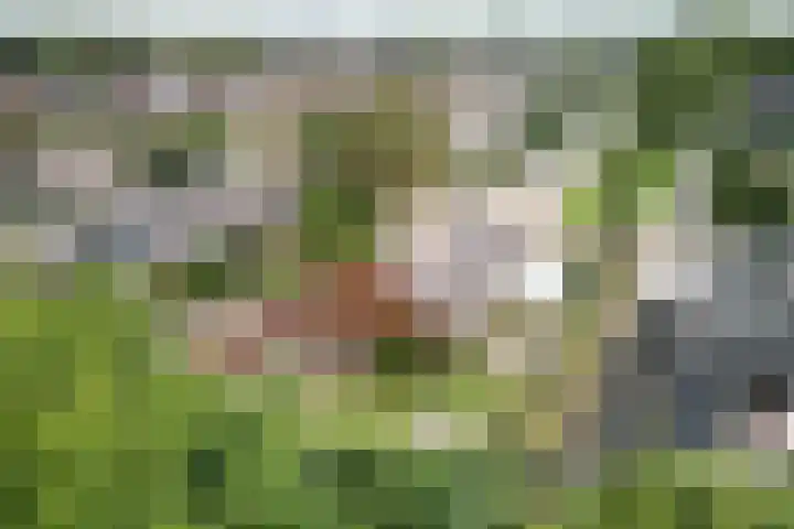 H.M. van Randwijklaan 15 Middenbeemster thumbnail 64