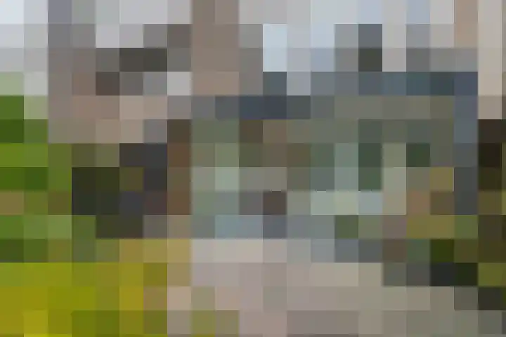 H. Marsmanplantsoen 20 Den Haag thumbnail 15