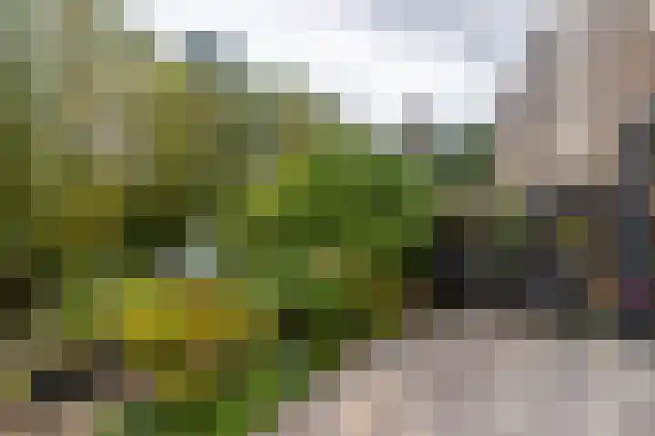 H. Marsmanplantsoen 20 Den Haag thumbnail 16