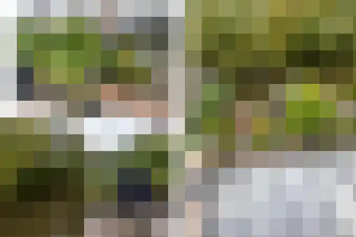 H. Marsmanplantsoen 20 Den Haag thumbnail 17