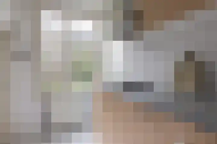 H.Marsmanstraat 10 Weesp thumbnail 14