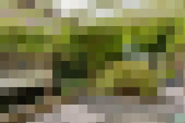 H.Marsmanstraat 10 Weesp thumbnail 27