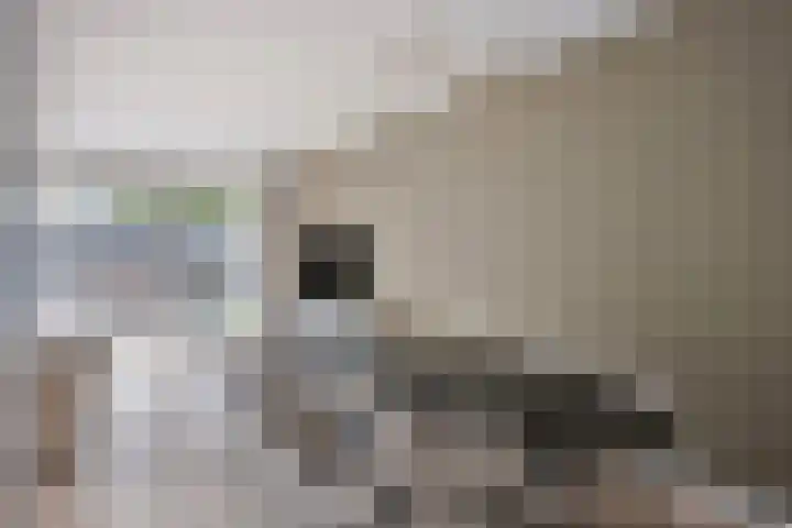 H. Marsmanstraat 15 Hengelo thumbnail 13