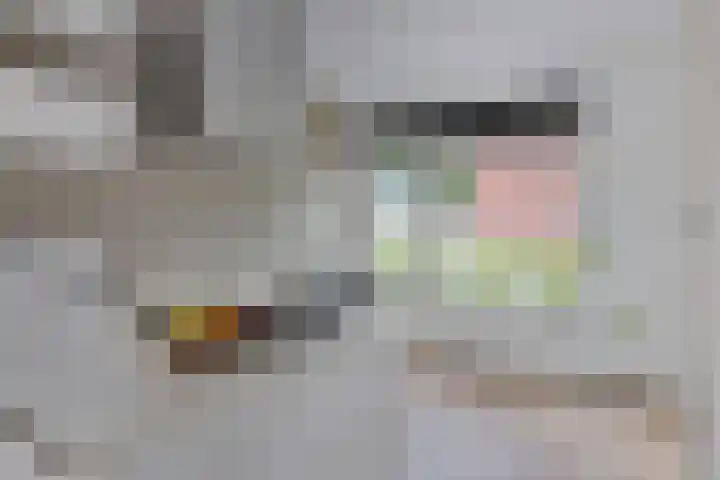 H. Marsmanstraat 15 Hengelo thumbnail 14