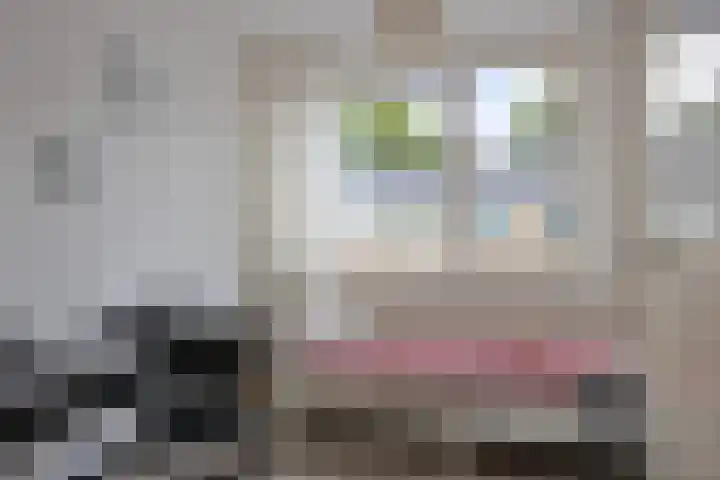 H. Marsmanstraat 15 Hengelo thumbnail 20