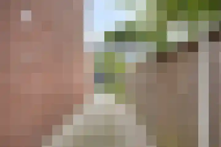 H. Marsmanstraat 15 Hengelo thumbnail 33