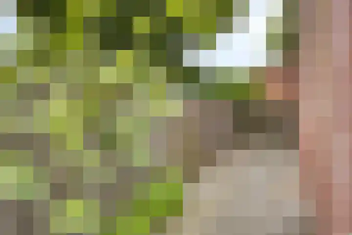 H. Marsmanstraat 15 Hengelo thumbnail 34