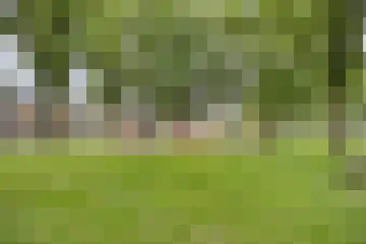 H. Marsmanstraat 15 Hengelo thumbnail 39