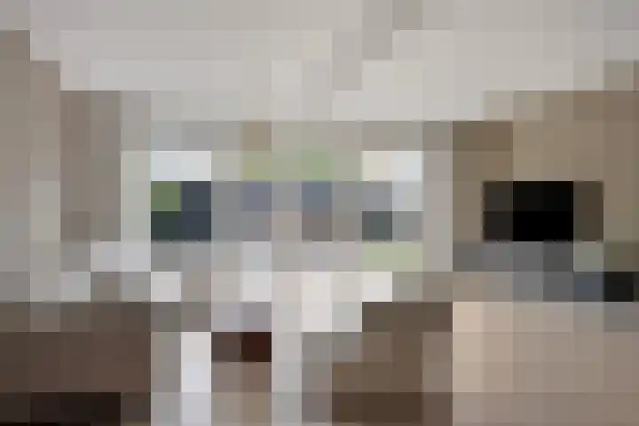 H. Marsmanstraat 15 Hengelo thumbnail 8