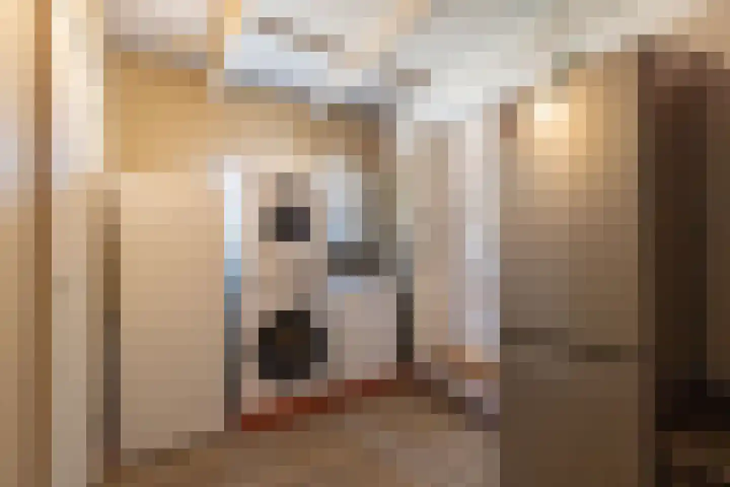 H.N.Nanningastraat 1 Bad Nieuweschans thumbnail 20