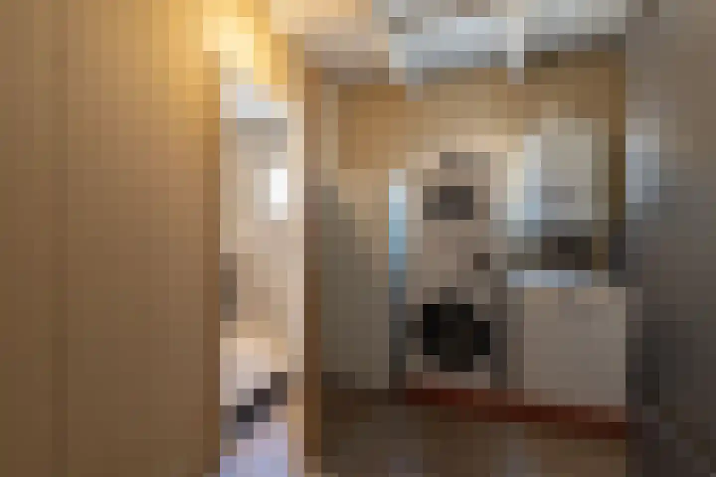 H.N.Nanningastraat 1 Bad Nieuweschans thumbnail 21