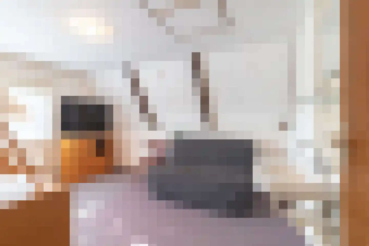 H.N.Nanningastraat 1 Bad Nieuweschans thumbnail 28
