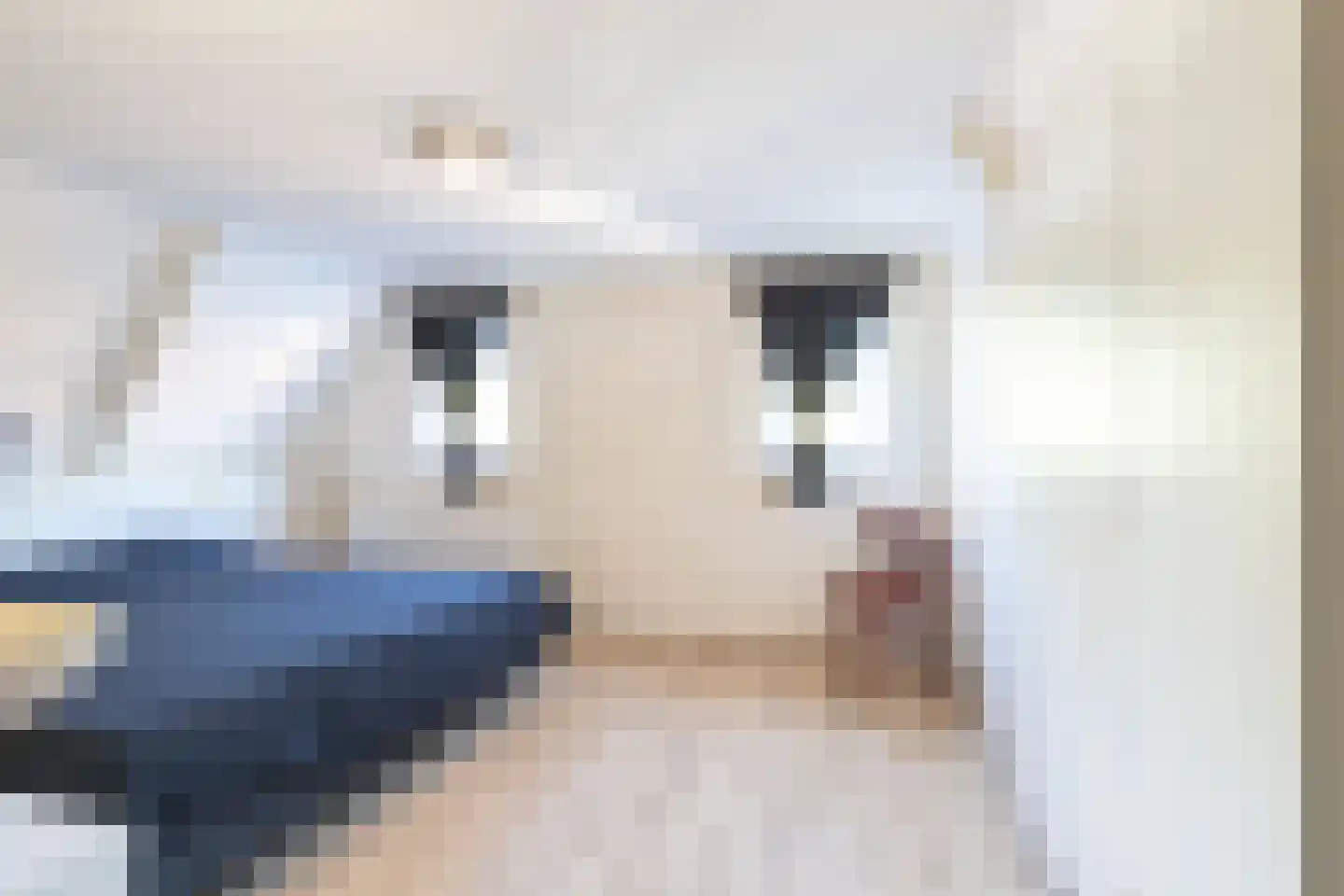 H.N.Nanningastraat 1 Bad Nieuweschans thumbnail 30