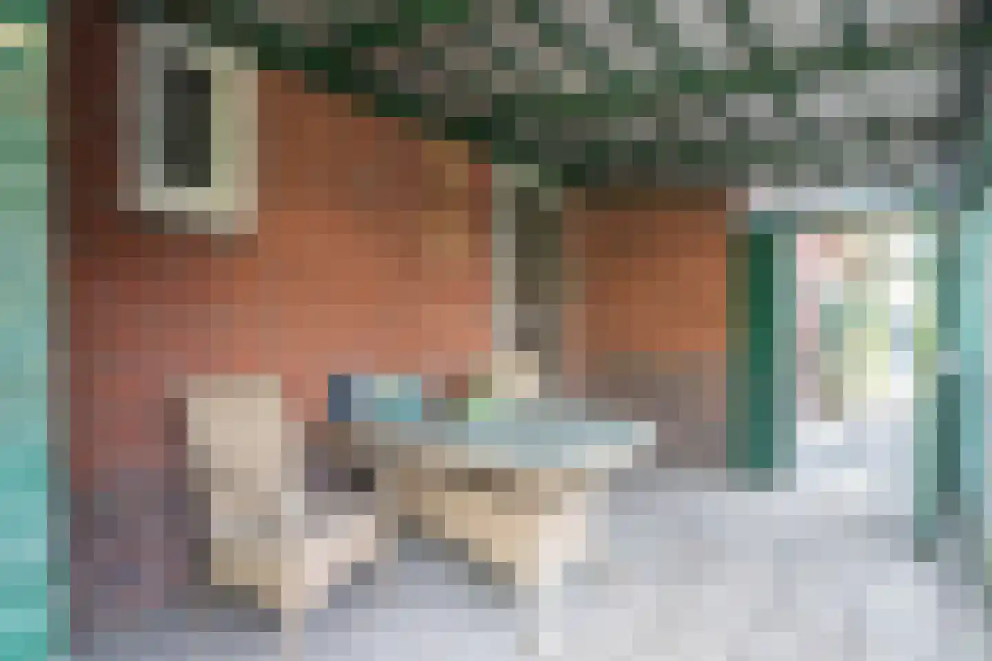 H.N.Nanningastraat 1 Bad Nieuweschans thumbnail 35