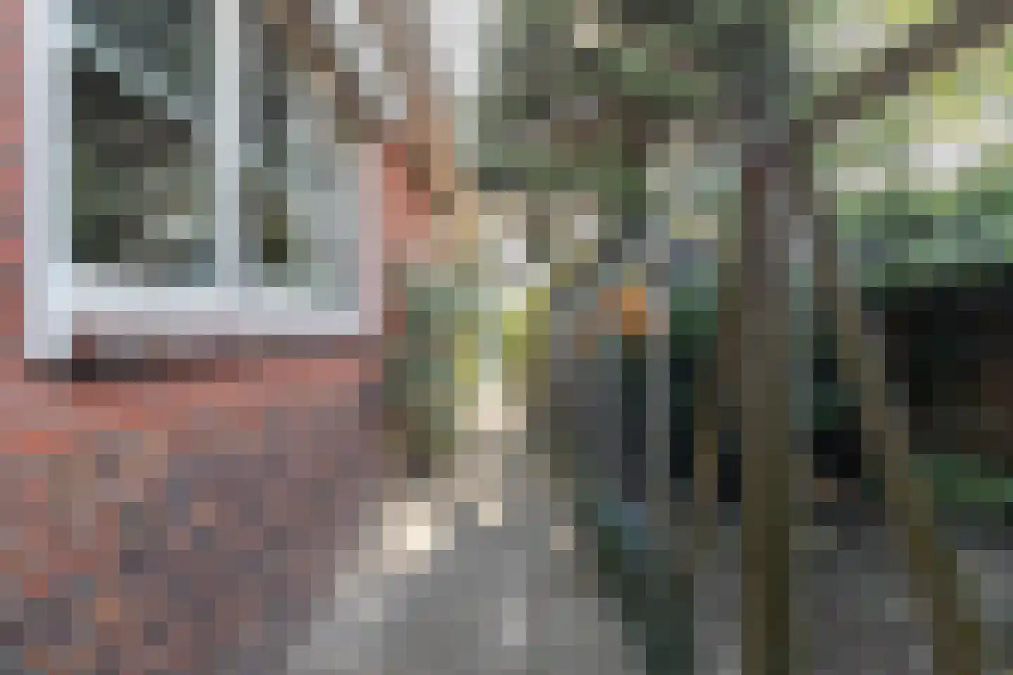 H.N.Nanningastraat 1 Bad Nieuweschans thumbnail 37