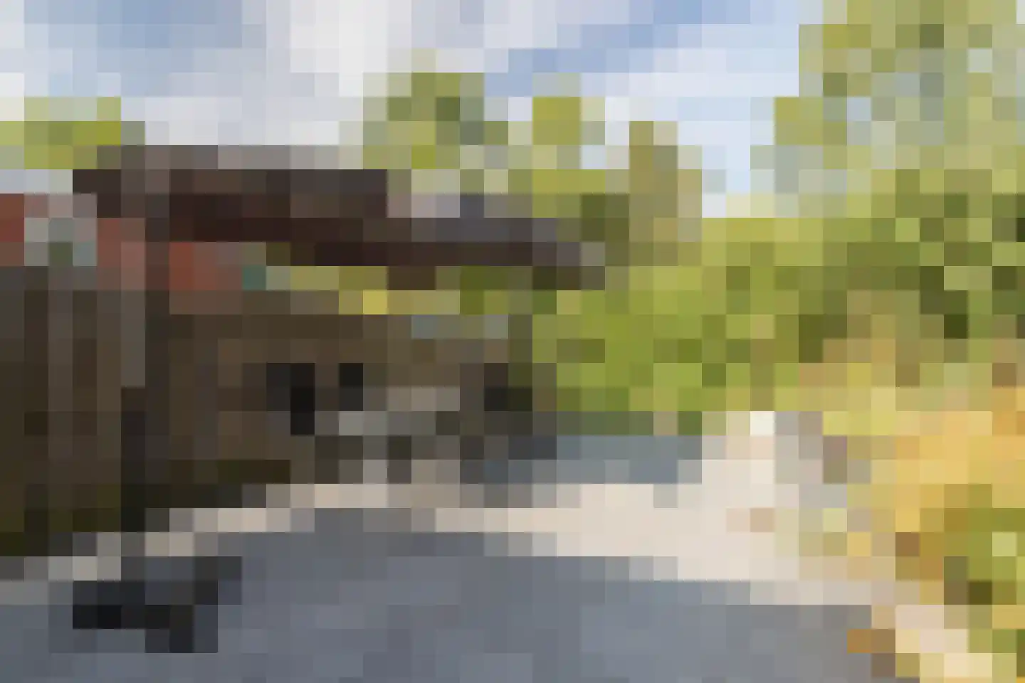 H.N.Nanningastraat 1 Bad Nieuweschans thumbnail 43