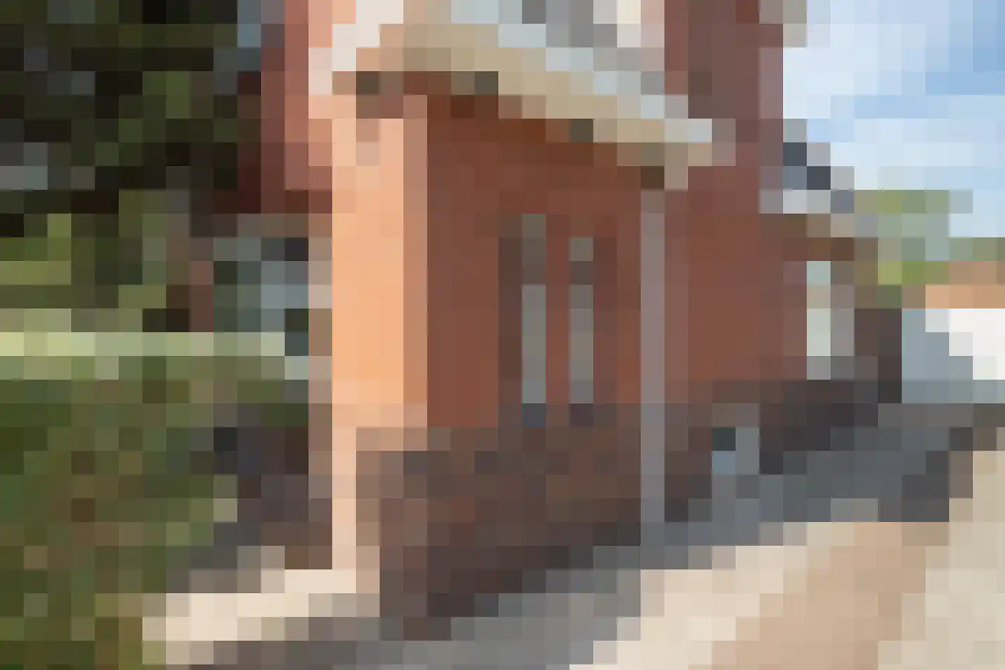 H.N.Nanningastraat 1 Bad Nieuweschans thumbnail 52