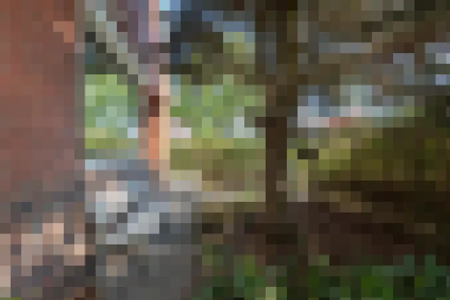 H.N.Nanningastraat 1 Bad Nieuweschans thumbnail 54