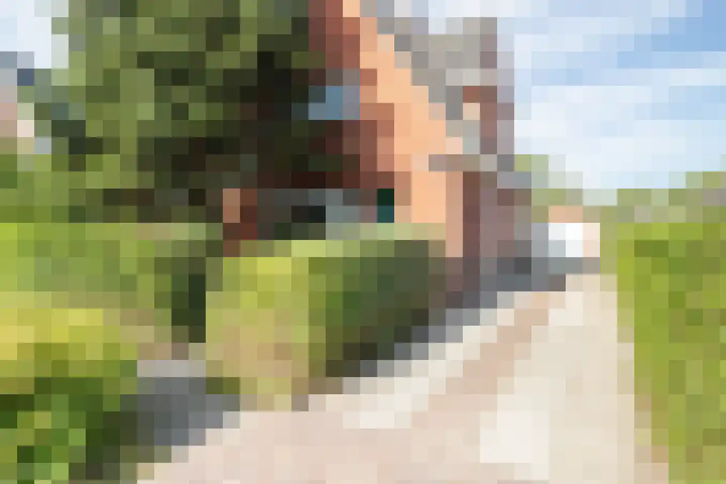 H.N.Nanningastraat 1 Bad Nieuweschans thumbnail 56