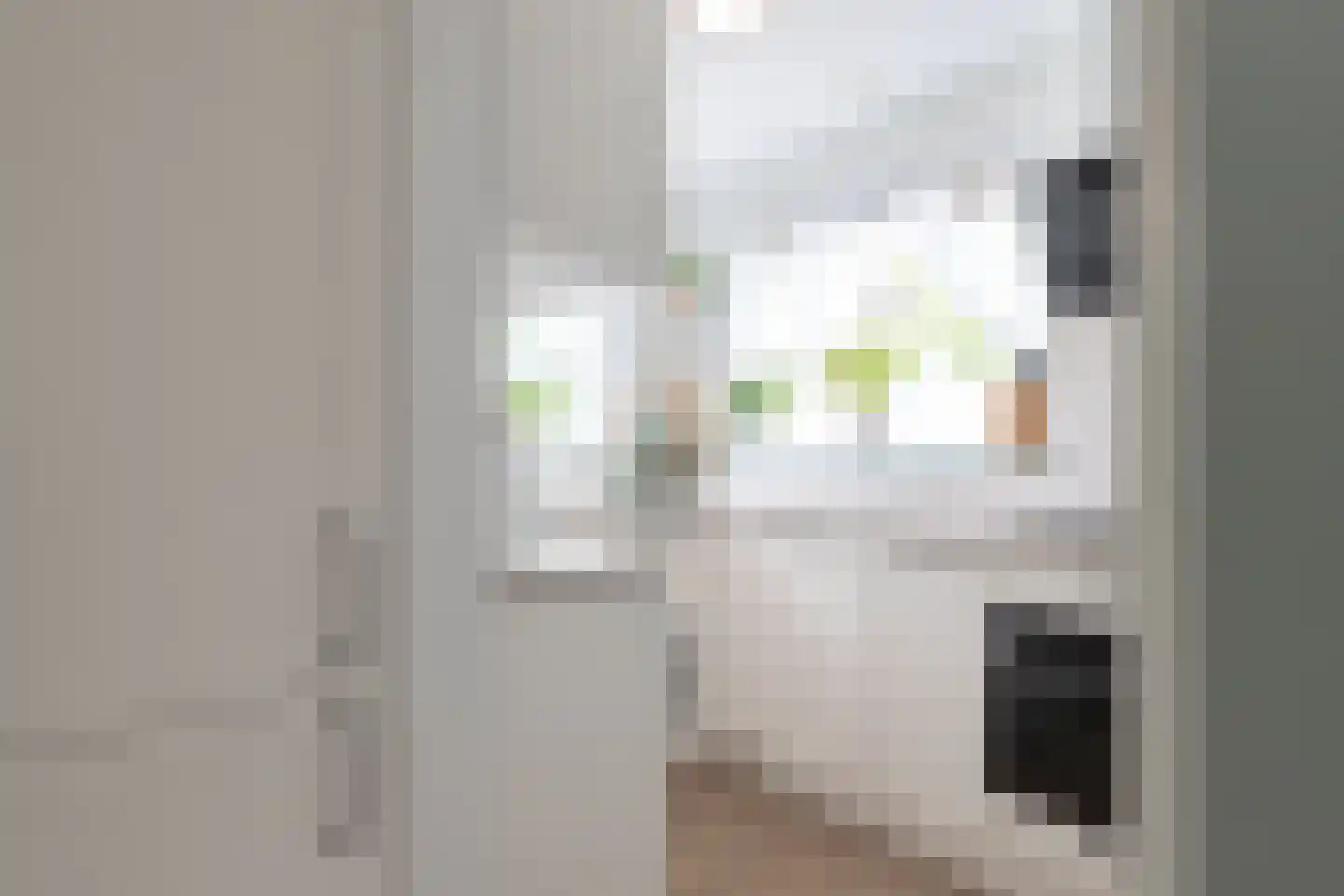 H.N.Nanningastraat 2 Bad Nieuweschans thumbnail 16