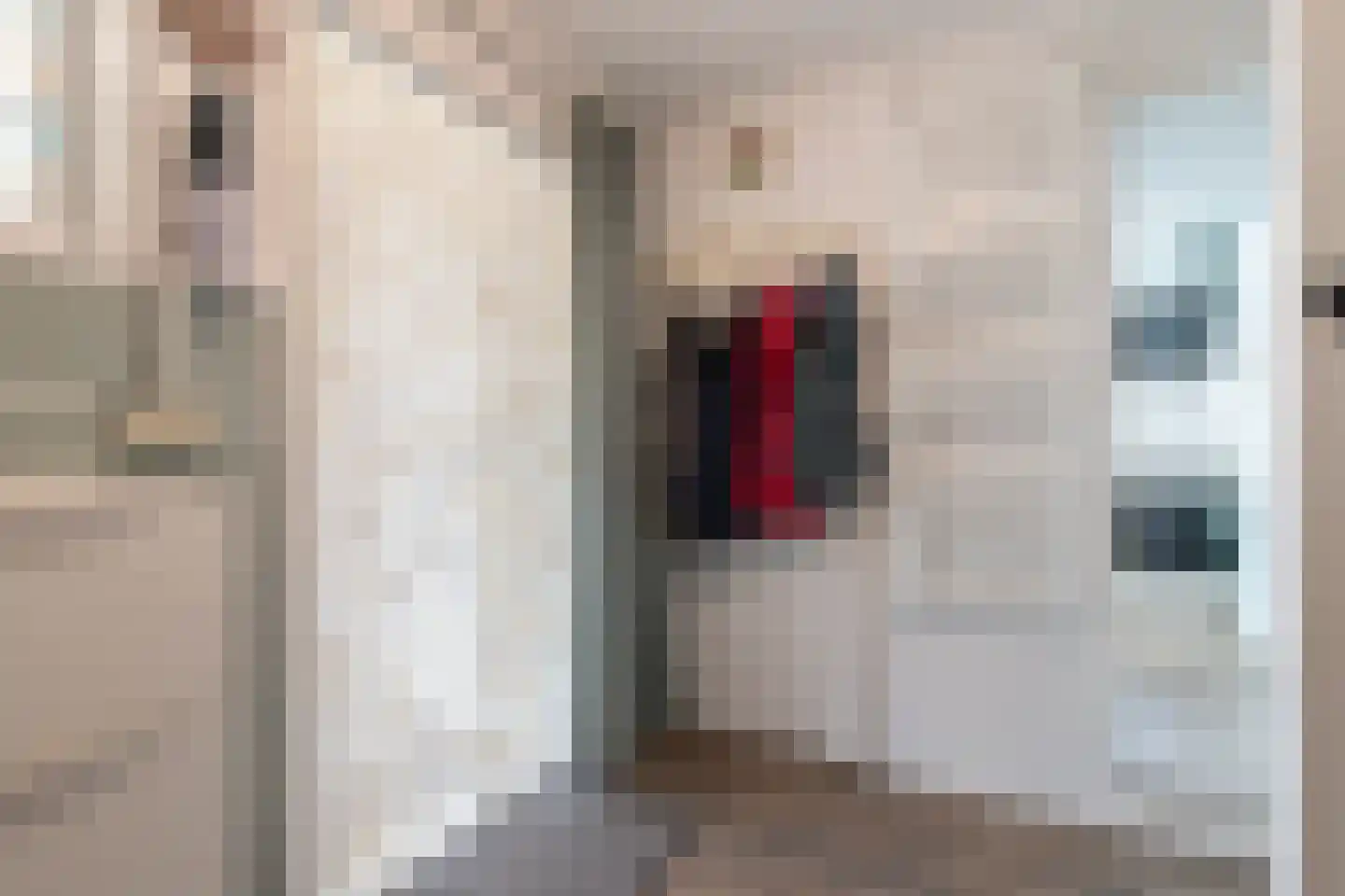 H.N.Nanningastraat 2 Bad Nieuweschans thumbnail 20