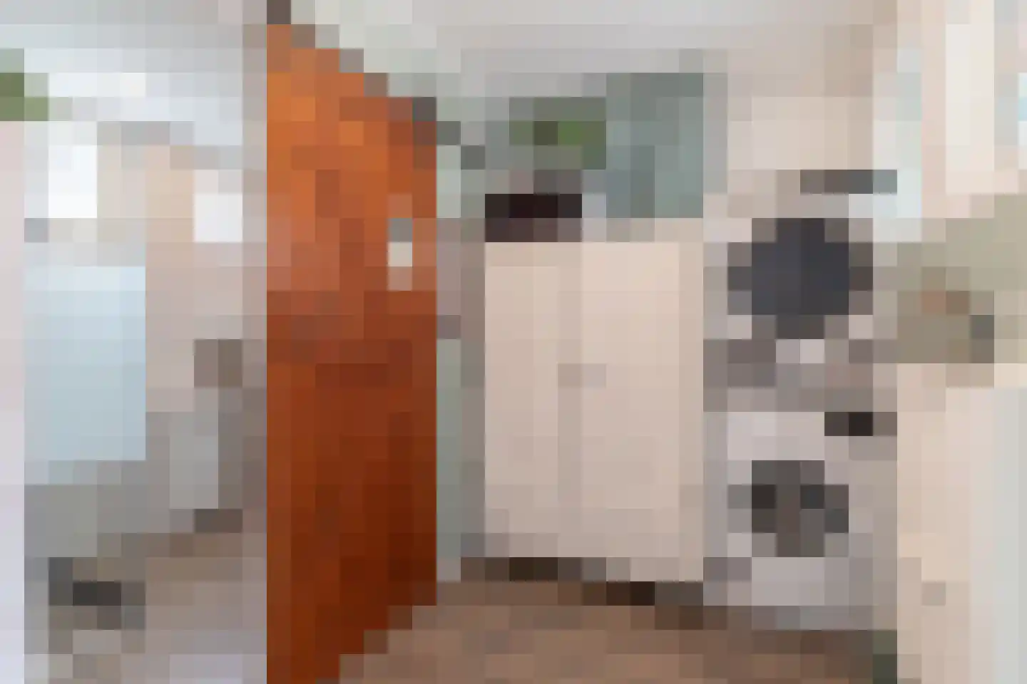 H.N.Nanningastraat 2 Bad Nieuweschans thumbnail 21