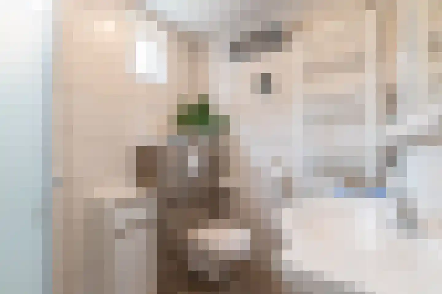 H.N.Nanningastraat 2 Bad Nieuweschans thumbnail 22