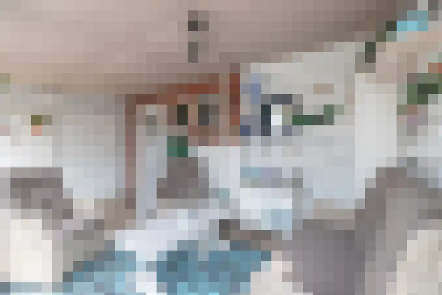 H.N.Nanningastraat 2 Bad Nieuweschans thumbnail 24