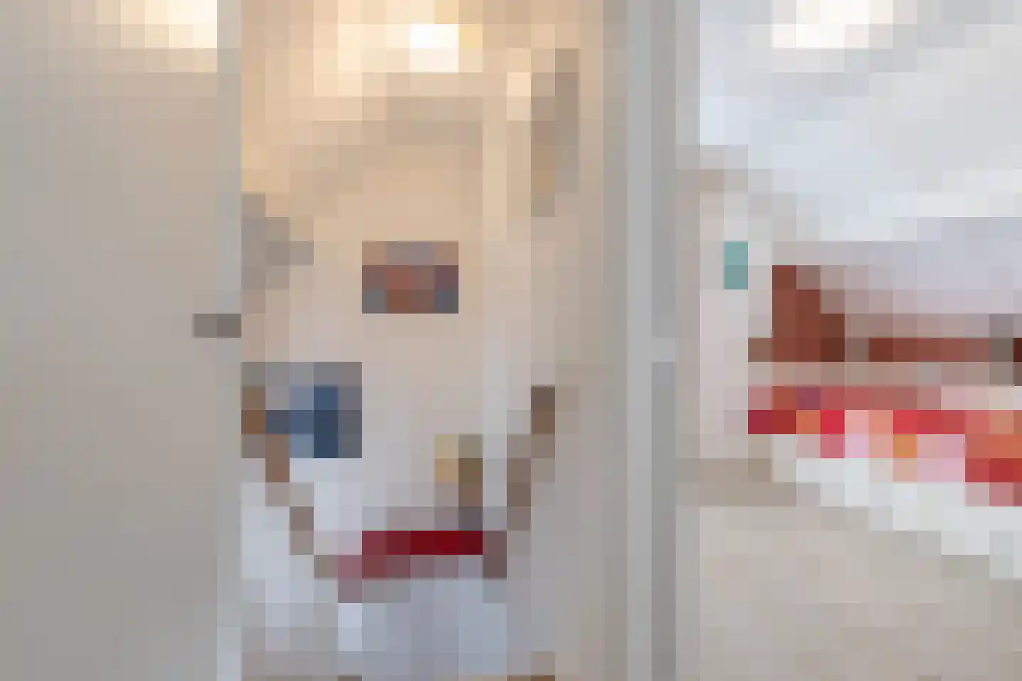 H.N.Nanningastraat 2 Bad Nieuweschans thumbnail 26