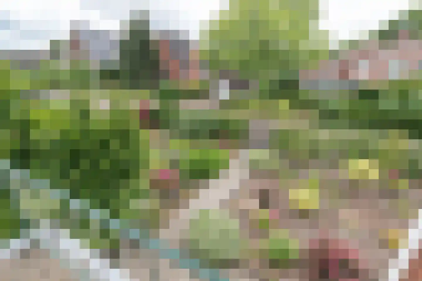 H.N.Nanningastraat 2 Bad Nieuweschans thumbnail 33
